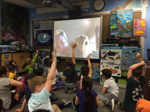 Skype in the classroom virtual field trips obliterate classroom walls.